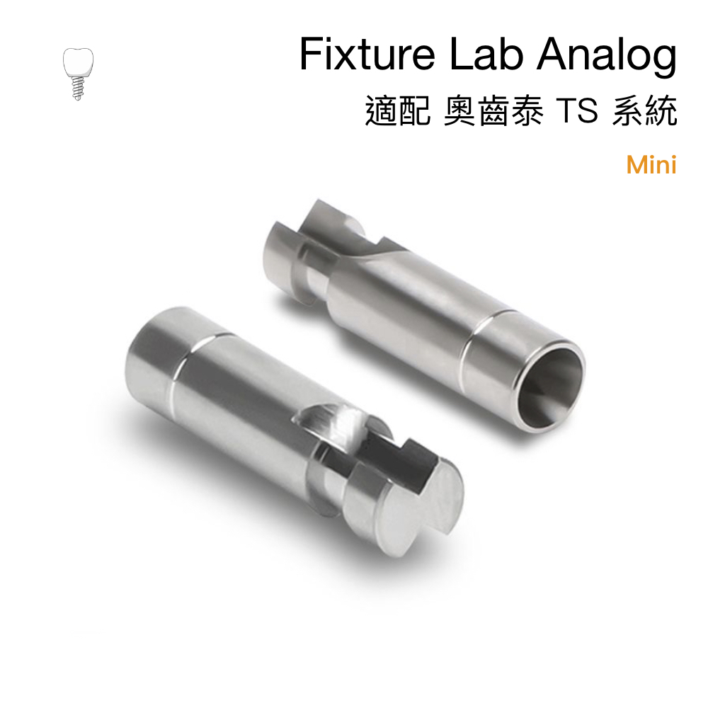 奧齒泰 石膏替代體